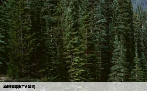 酒吧音响KTV音响