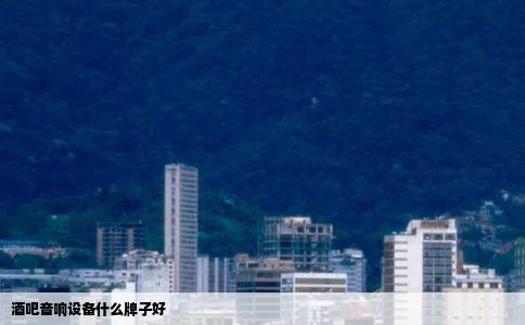 酒吧音响设备什么牌子好
