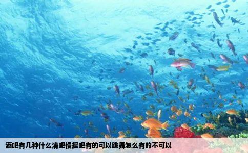 酒吧有几种什么清吧慢摇吧有的可以跳舞怎么有的不可以