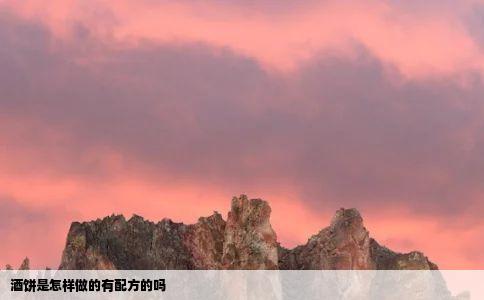 酒饼是怎样做的有配方的吗