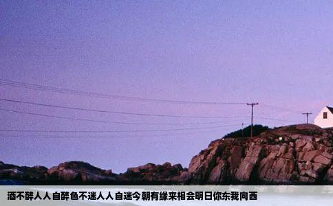 酒不醉人人自醉色不迷人人自迷今朝有缘来相会明日你东我向西
