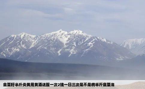 韭菜籽半斤炎黄用黄酒送服一次2钱一日三次是不是将半斤韭菜泡