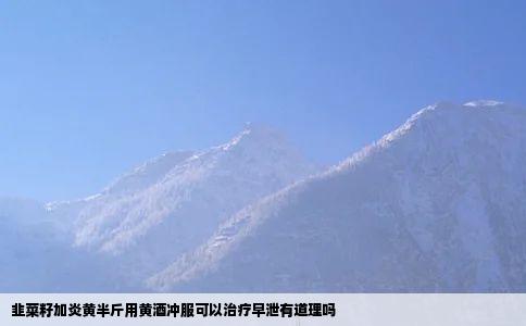 韭菜籽加炎黄半斤用黄酒冲服可以治疗早泄有道理吗