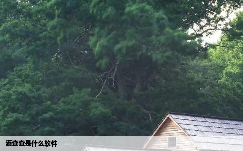 酒查查是什么软件