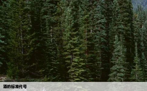 酒的标准代号