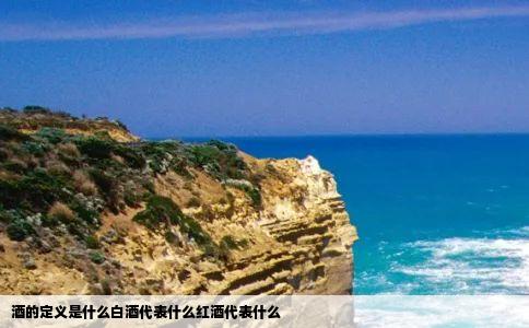 酒的定义是什么白酒代表什么红酒代表什么