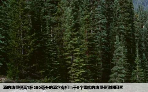 酒的热量很高1杯250毫升的酒含有相当于3个雪糕的热量是致肥因素