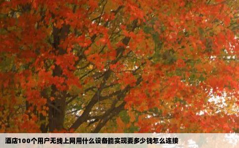 酒店100个用户无线上网用什么设备能实现要多少钱怎么连接