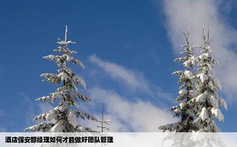 酒店保安部经理如何才能做好团队管理