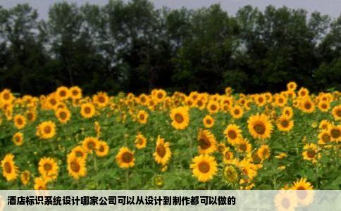酒店标识系统设计哪家公司可以从设计到制作都可以做的