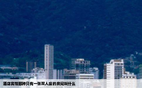 酒店宾馆那种只有一张双人床的房间叫什么