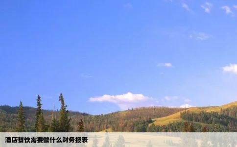 酒店餐饮需要做什么财务报表