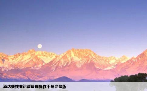 酒店餐饮业运营管理操作手册完整版