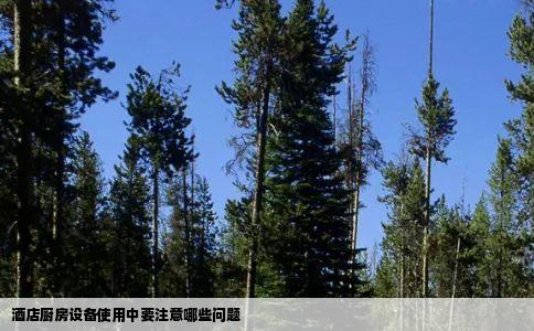 酒店厨房设备使用中要注意哪些问题