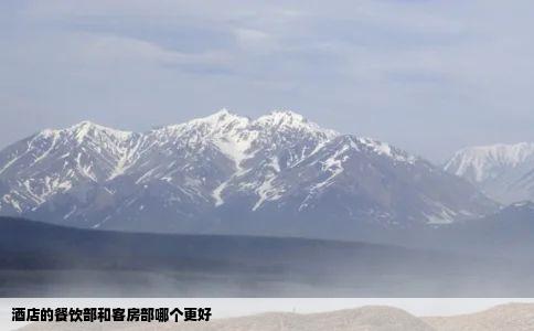 酒店的餐饮部和客房部哪个更好