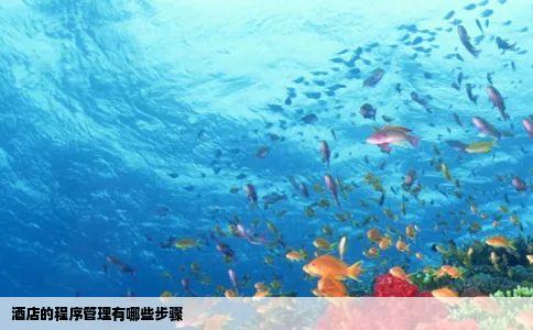 酒店的程序管理有哪些步骤