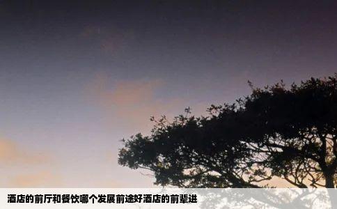 酒店的前厅和餐饮哪个发展前途好酒店的前辈进
