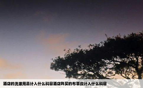 酒店的洗漱用品计入什么科目酒店购买的布草应计入什么科目