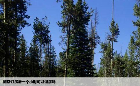 酒店订房后一个小时可以退房吗