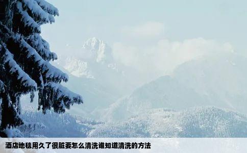 酒店地毯用久了很脏要怎么清洗谁知道清洗的方法