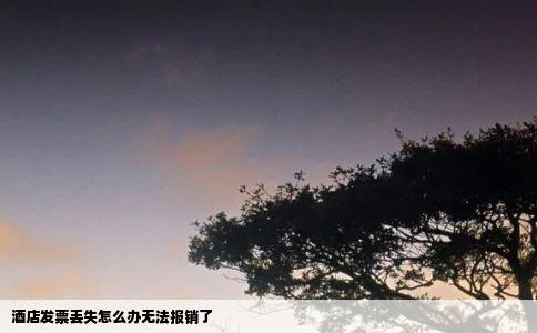 酒店发票丢失怎么办无法报销了