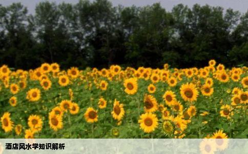 酒店风水学知识解析