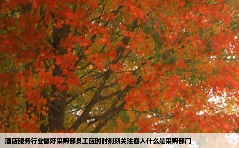 酒店服务行业做好采购部员工应时时刻刻关注客人什么是采购部门