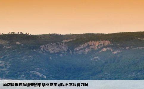 酒店管理包括哪些初中毕业克学可以不学起费力吗