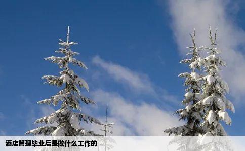 酒店管理毕业后是做什么工作的