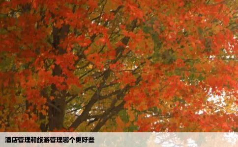 酒店管理和旅游管理哪个更好些