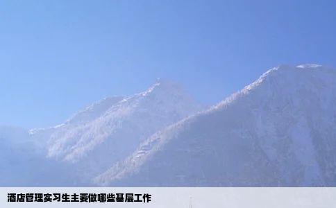 酒店管理实习生主要做哪些基层工作