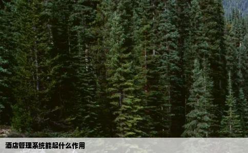 酒店管理系统能起什么作用