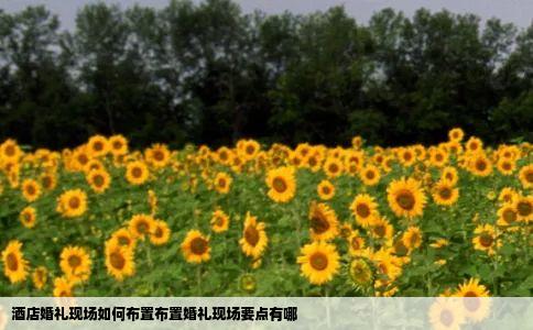 酒店婚礼现场如何布置布置婚礼现场要点有哪