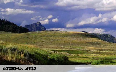 酒店或旅行社ota的特点