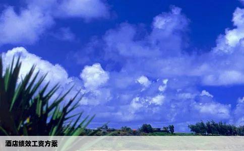 酒店绩效工资方案