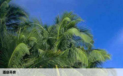 酒店开房