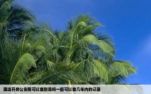 酒店开房公安局可以查到是吗一般可以查几年内的记录