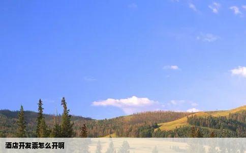 酒店开发票怎么开啊