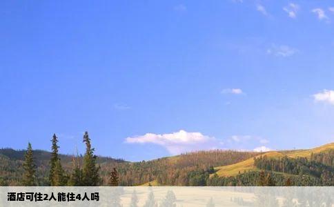 酒店可住2人能住4人吗