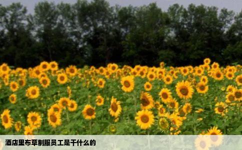酒店里布草制服员工是干什么的