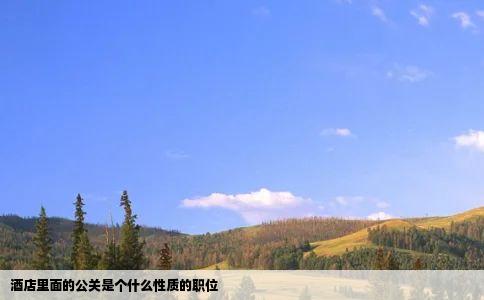 酒店里面的公关是个什么性质的职位