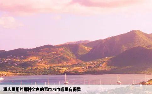 酒店里用的那种全白的毛巾浴巾哪里有得卖