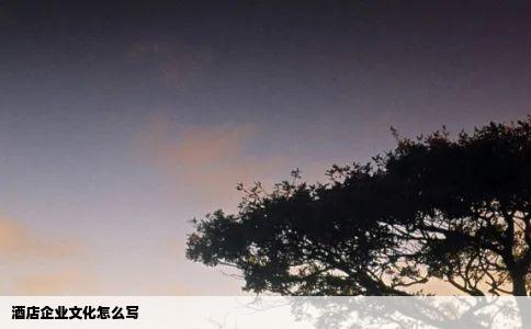酒店企业文化怎么写