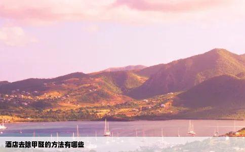 酒店去除甲醛的方法有哪些