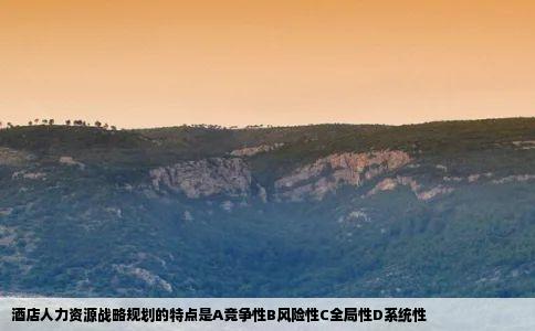 酒店人力资源战略规划的特点是A竞争性B风险性C全局性D系统性