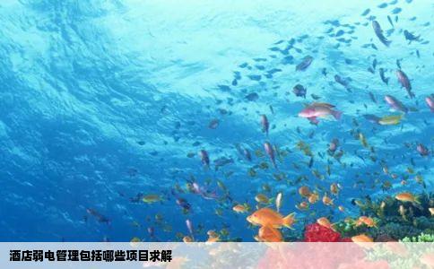 酒店弱电管理包括哪些项目求解
