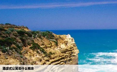 酒店式公寓是什么概念