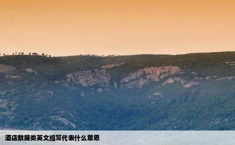 酒店数据类英文缩写代表什么意思