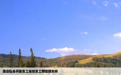 酒店私自开除员工会给员工赔偿损失吗