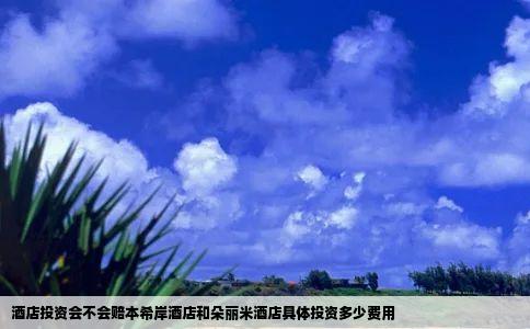 酒店投资会不会赔本希岸酒店和朵丽米酒店具体投资多少费用